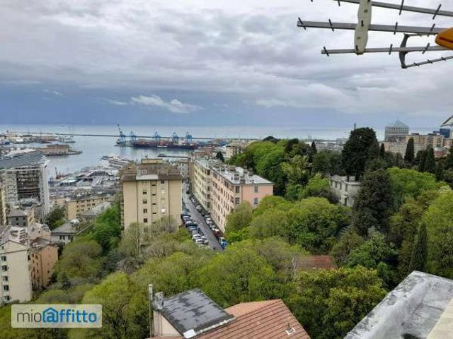 Appartamento in affitto a Centro Ovest, Serra Riccò