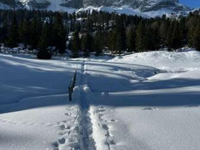 Appartamento in affitto a Misurina, Auronzo di Cadore