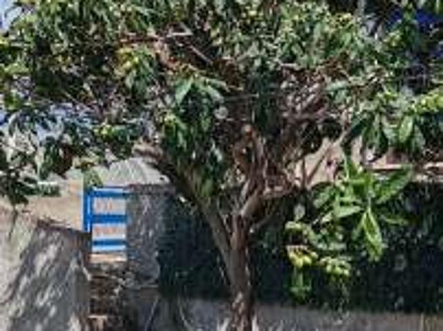 Appartamento in affitto a Lazzàro, Calabria