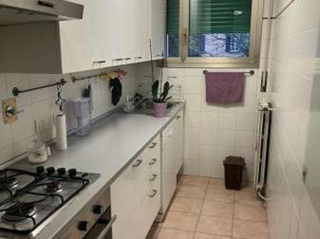 Appartamento in affitto a San Donato-San Vitale, Bologna