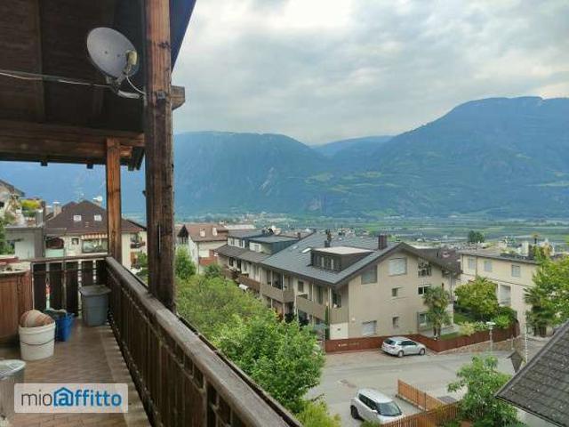 Appartamento in affitto a Burggrafenamt - Burgraviato, Nalles - Nals