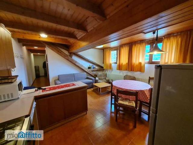 Appartamento in affitto a Comunità delle Giudicarie, Pelugo