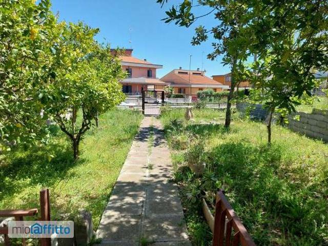 Appartamento in affitto a Petacciato, Molise