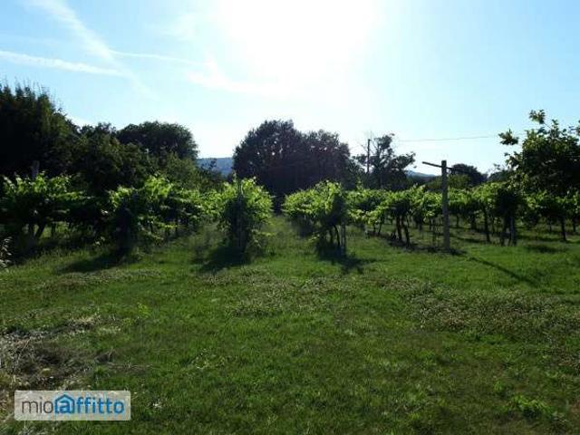 Appartamento in affitto a Ponterio-Pian di Porto, Izzalini