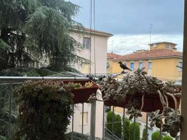 Appartamento in affitto a Monte Donato, Bologna