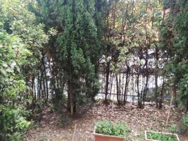 Appartamento in affitto a Monte Donato, Bologna