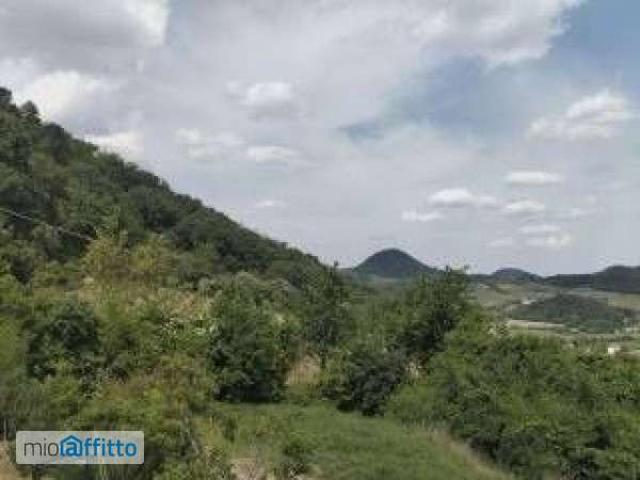Appartamento in affitto a Torreglia, Veneto