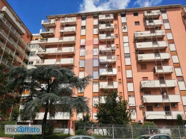 Appartamento in affitto a V Circoscrizione, Palermo