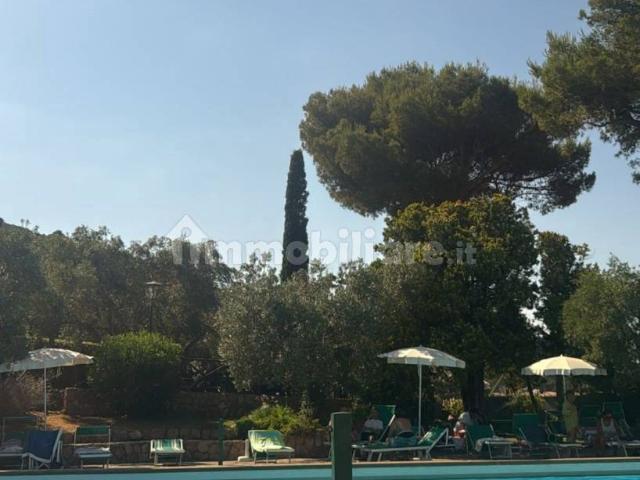 Appartamento in affitto a Monte Argentario, Porto Santo Stefano