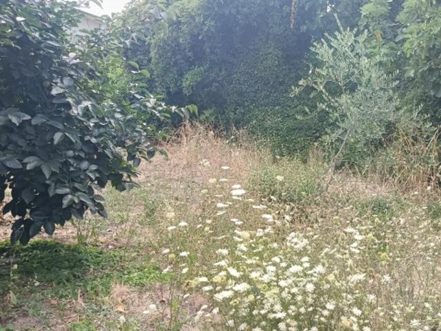Appartamento in vendita a Magione, Umbria