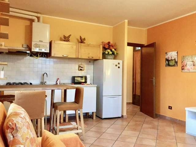 Appartamento in affitto a Robecchetto Con Induno, Lombardia