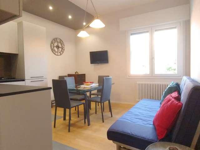Appartamento in affitto a Porto-Saragozza, Bologna