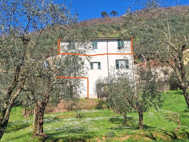 Appartamento in vendita a Unione dei comuni Media Valle del Serchio, Borgo A Mozzano