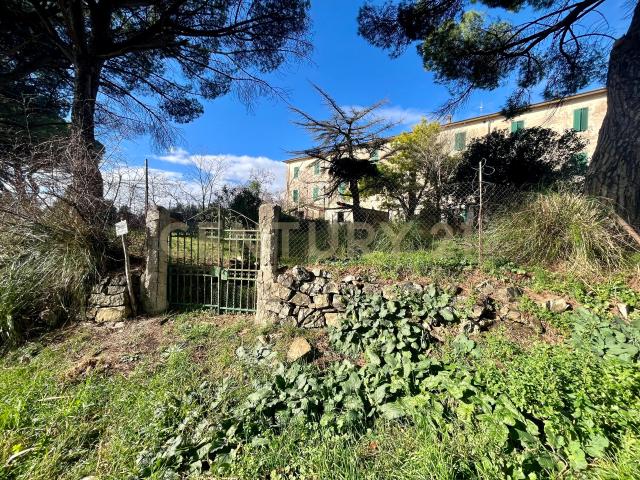 Appartamento in vendita a Scansano, Toscana
