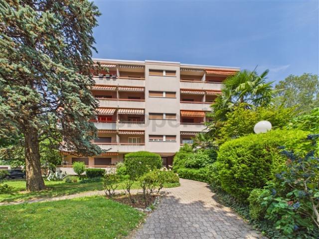 Wohnung kaufen in Bellinzona, Tessin