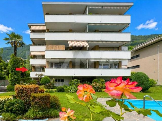Wohnung kaufen in Minusio, Tessin