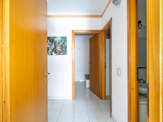 Appartamento in affitto a Centro storico, Catania