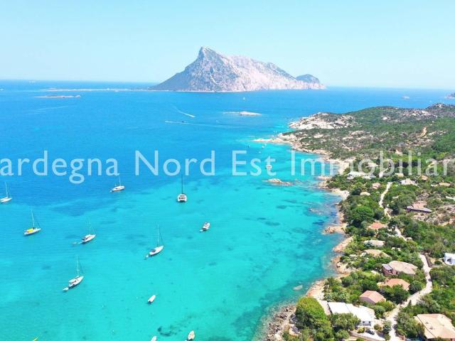 Appartamento in vendita a Puntaldia, Sardigna/Sardegna