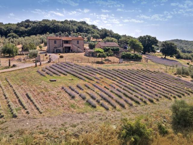 Appartamento in vendita a Campello Sul Clitunno, Umbria
