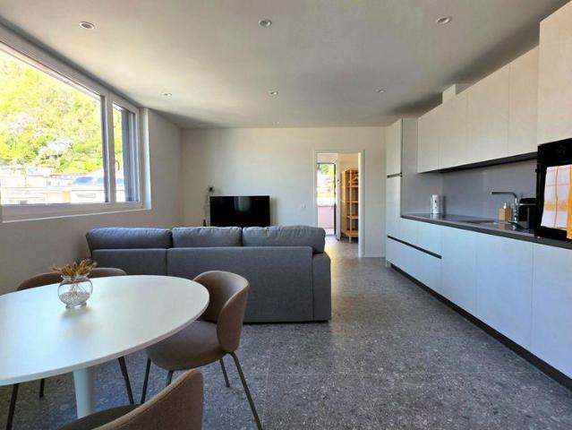 Apartment mieten in Locarno Monti, Locarno