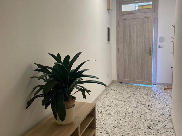 Appartamento in affitto a Alberino, Molinella