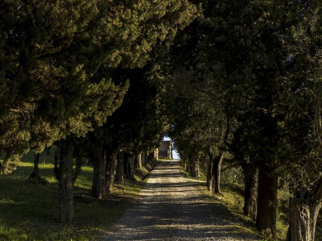 Appartamento in affitto a Bagno A Ripoli, Toscana