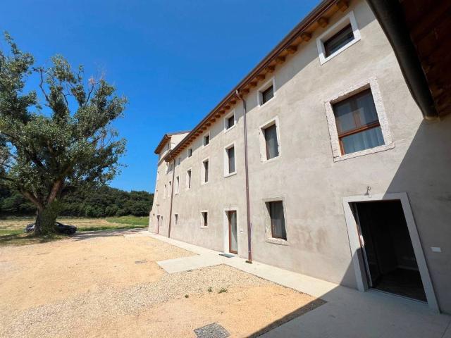 Appartamento in affitto a Bardolino, Veneto
