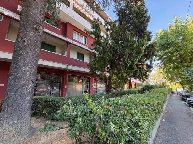 Appartamento in affitto a Monte Donato, Bologna