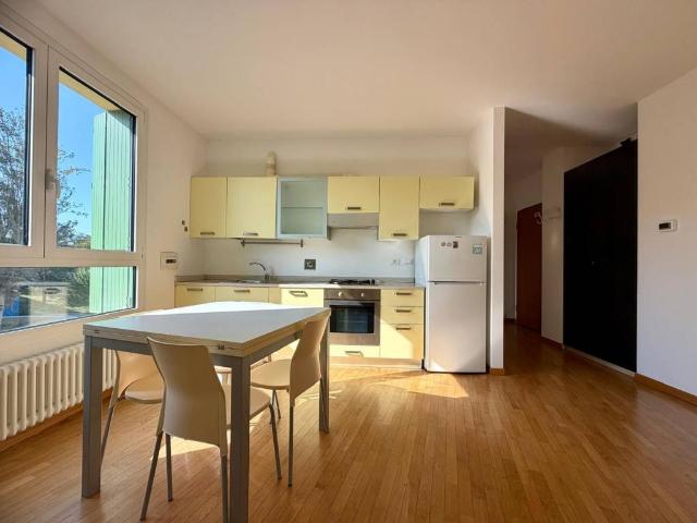 Appartamento in affitto a Quartiere Navile, Bologna