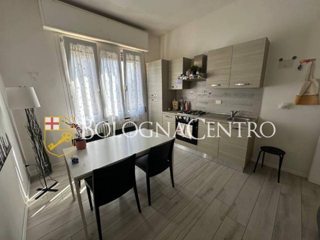 Appartamento in affitto a San Donato-San Vitale, Bologna