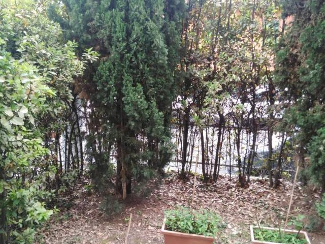 Appartamento in affitto a Monte Donato, Bologna