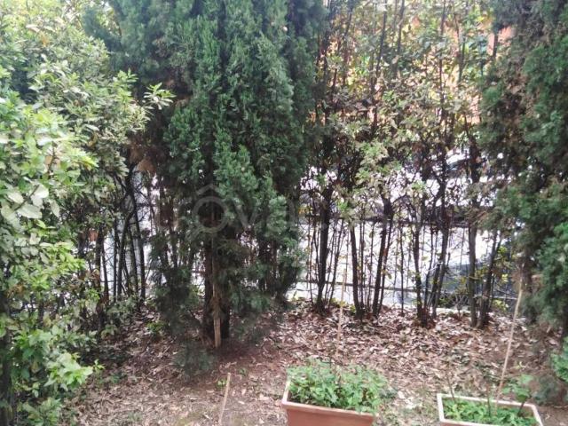 Appartamento in affitto a Monte Donato, Bologna