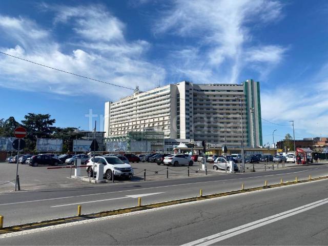 Appartamento in affitto a Porto-Saragozza, Bologna
