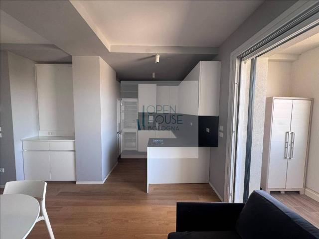 Appartamento in affitto a Quartiere Navile, Bologna