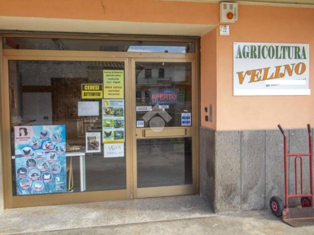 Appartamento in affitto a Borgo Velino, Lazio