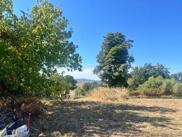 Appartamento in affitto a Roma Capitale, Lazio