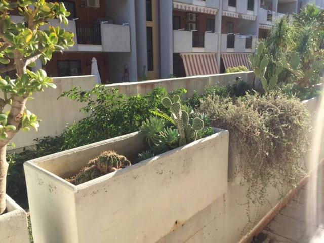 Appartamento in affitto a Casale, Puglia