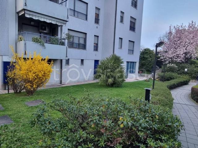 Appartamento in affitto a Grancino, Buccinasco