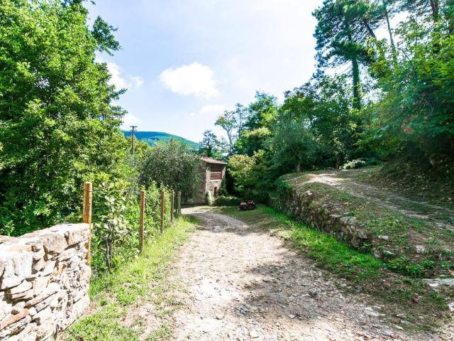 Appartamento in affitto a Buti, Toscana