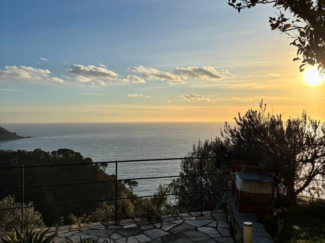 Appartamento in affitto a Case rosse, Camogli