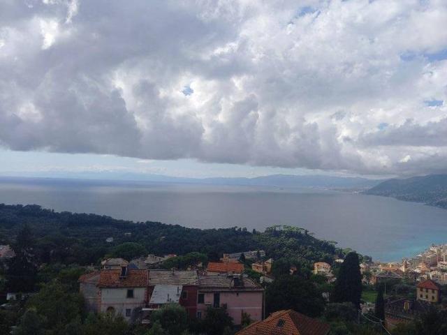 Appartamento in affitto a Camogli, Liguria