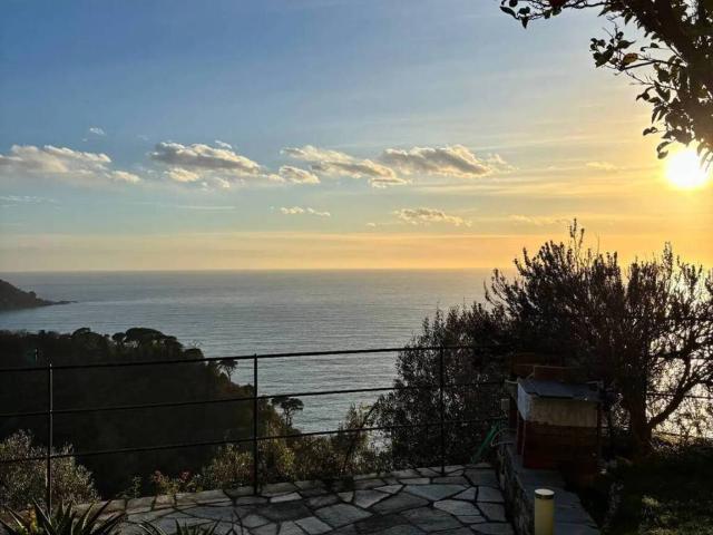 Appartamento in affitto a Il Boschetto, Camogli