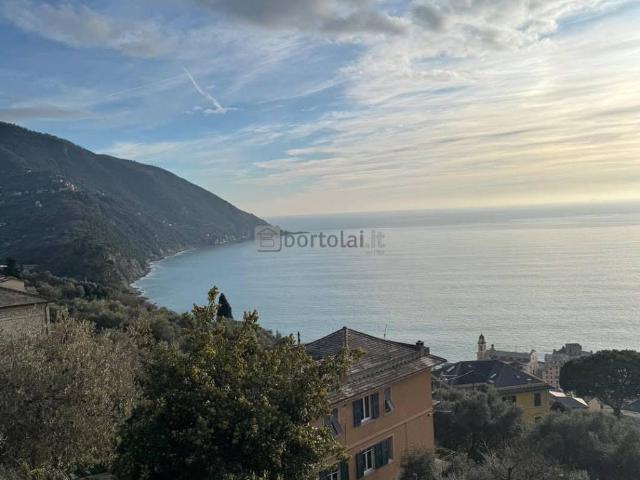 Appartamento in affitto a Case rosse, Camogli