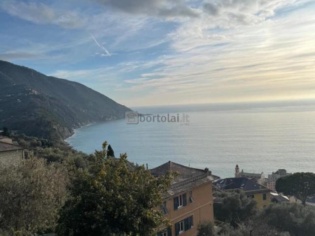 Appartamento in affitto a Case rosse, Camogli