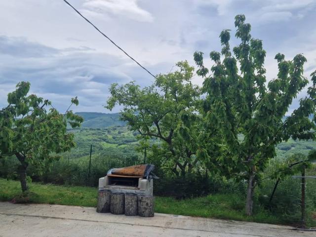 Appartamento in affitto a Campobasso