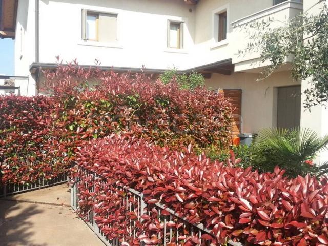 Appartamento in affitto a Caneva, Friuli-Venezia Giulia