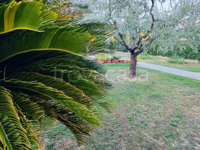 Appartamento in affitto a Capannori, Lucca