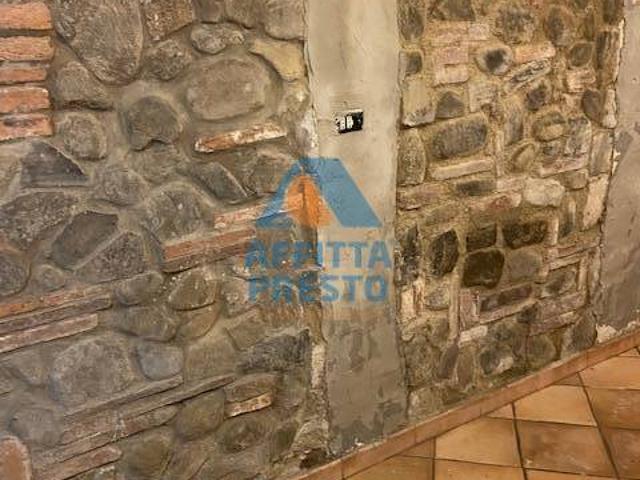 Appartamento in affitto a Capraia e Limite, Firenze