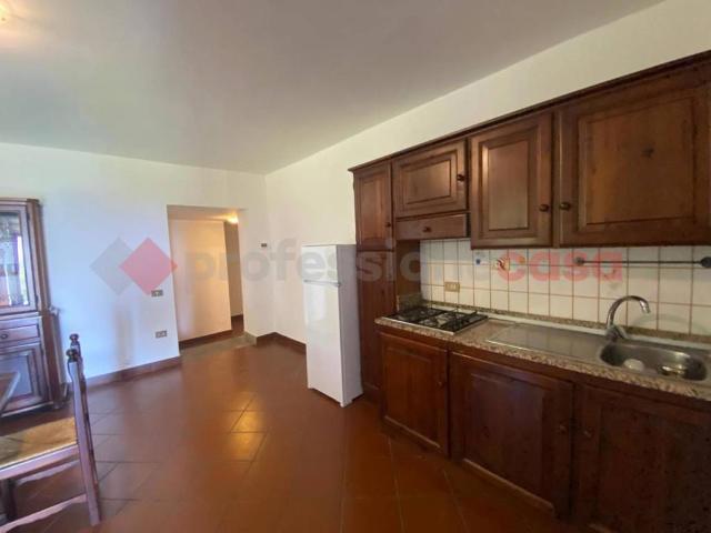 Appartamento in affitto a Unione dei Comuni Circondario dell'Empolese Valdelsa, Capraia