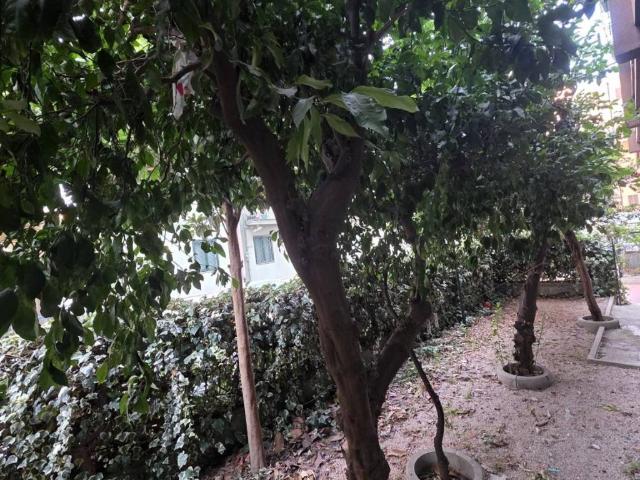 Appartamento in affitto a Centro Storico, Caserta